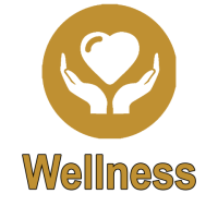 Wellness Plan Full Upfront